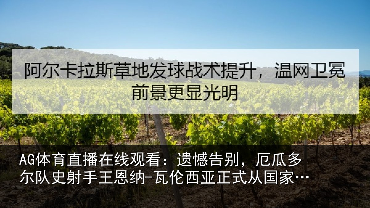 AG体育直播在线观看：遗憾告别，厄瓜多尔队史射相关情况正式从国家队退役