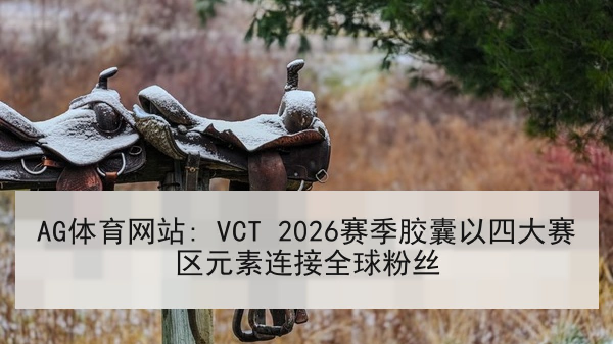 AG体育网站: VCT 2026赛季胶囊以四大赛区元素连接全球粉丝