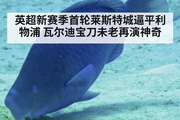 英超新赛季首轮莱斯特城逼平利物浦 瓦尔迪宝刀未老再演神奇