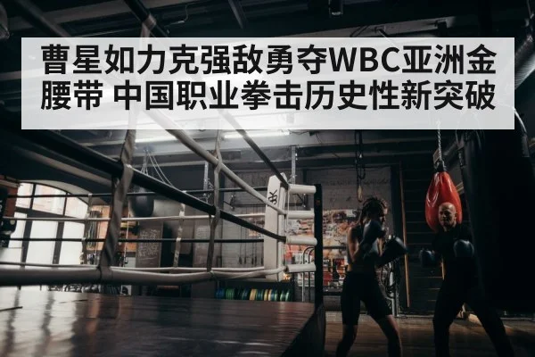 boxer training